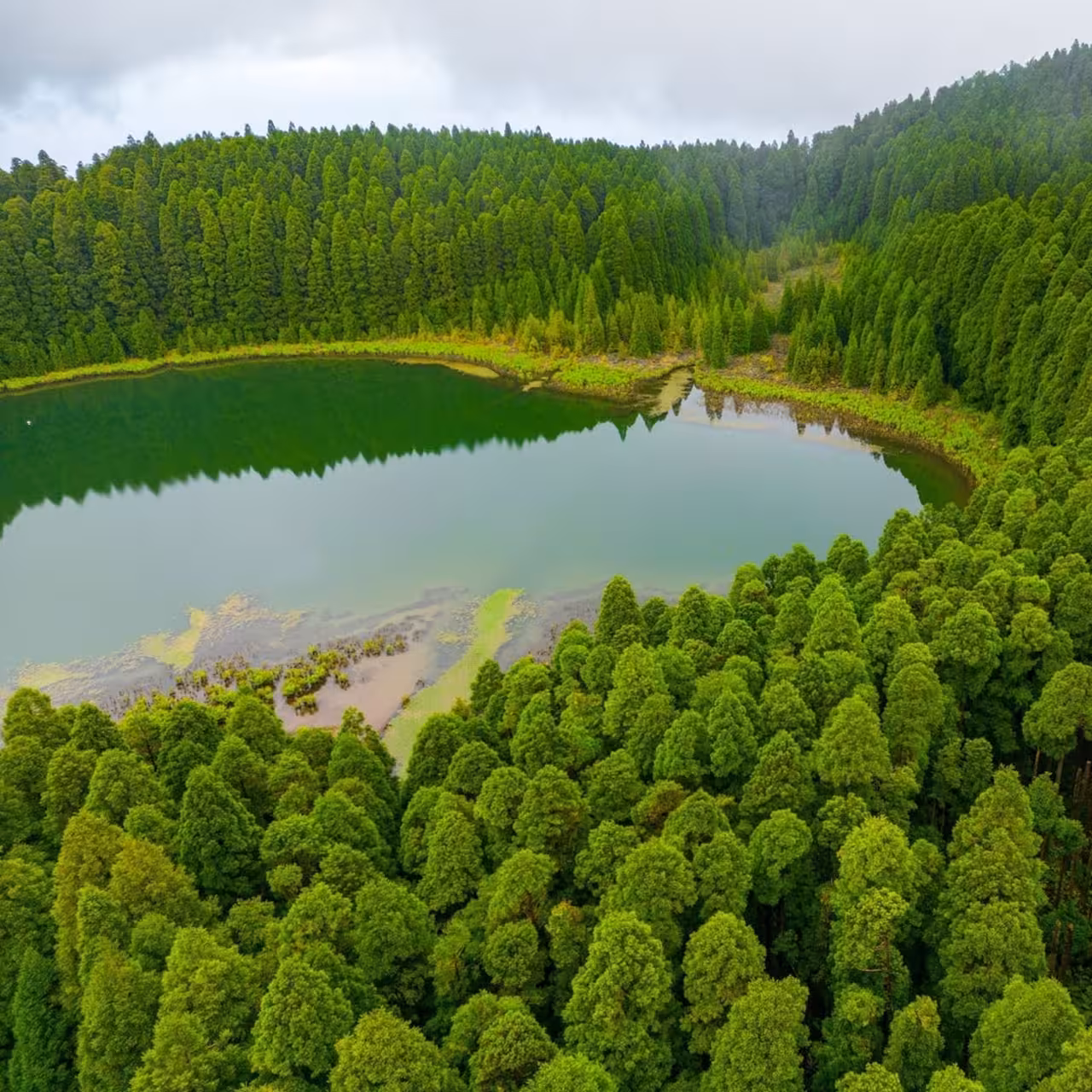 Aerial view of a green volcanic lagoon and dense forest in Sete Cidades, São Miguel, on a half-day jeep safari