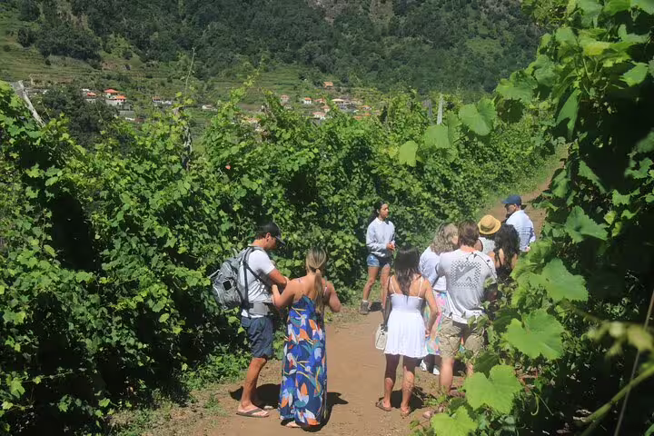 Tour group enjoys guided wine tasting and scenic jeep adventure through lush vineyard trails and stunning sea cliffs.