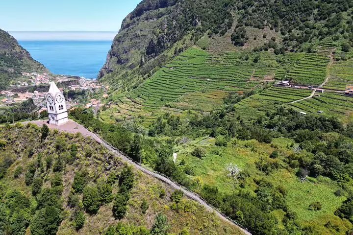 Scenic view of lush vineyards and coastal cliffs, perfect for a half-day jeep wine tour and tasting adventure by the sea.