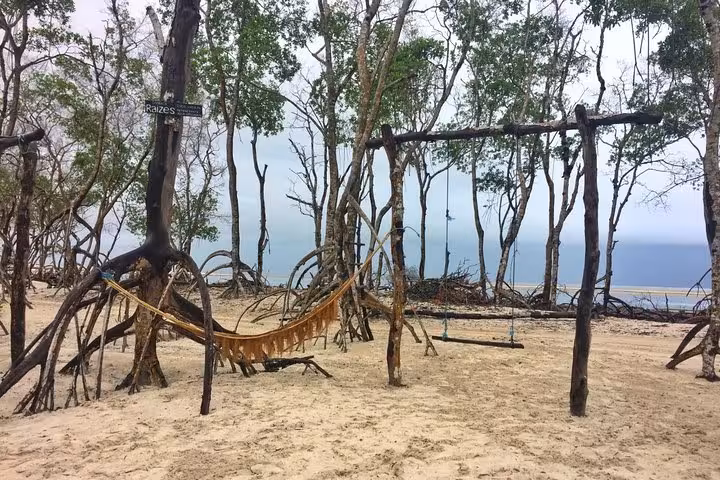 Hammocks and swings in mangrove trees on Jericoacoara West Coastal Tour, relaxing stop by the sea