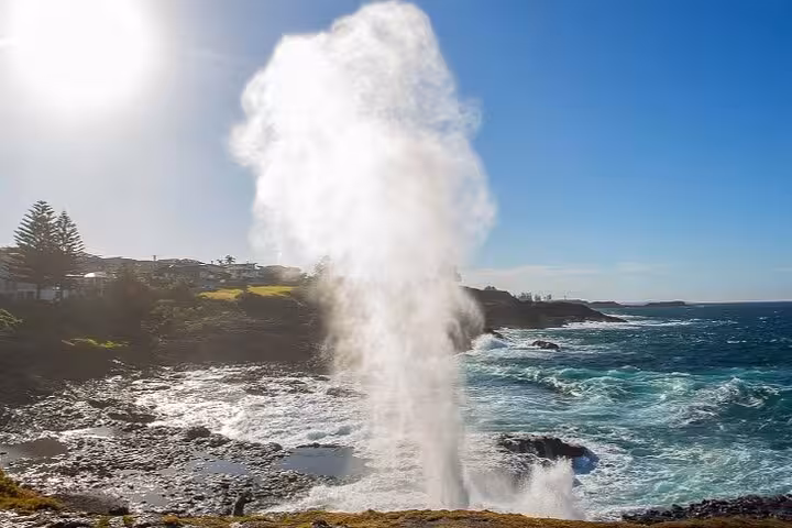 Spectacular coastal view of a blowhole in action at Jervis Bay, showcasing nature's power and scenic beauty.
