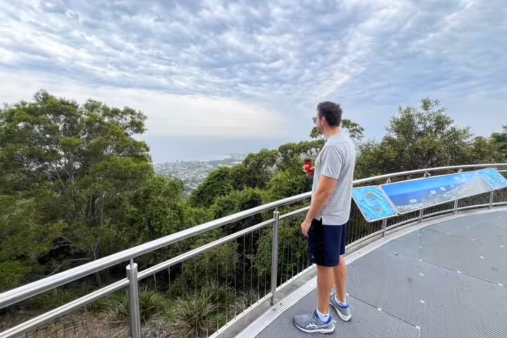 Visitor admires lush forest and distant cityscape from a lookout point, part of Jervis Bay private tour experience.