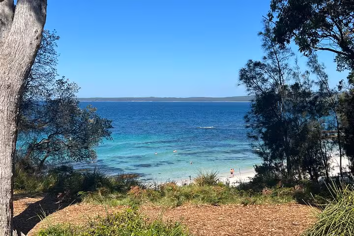 Scenic view of Jervis Bay with turquoise waters, sandy beach, and lush greenery, ideal for a private tour experience.