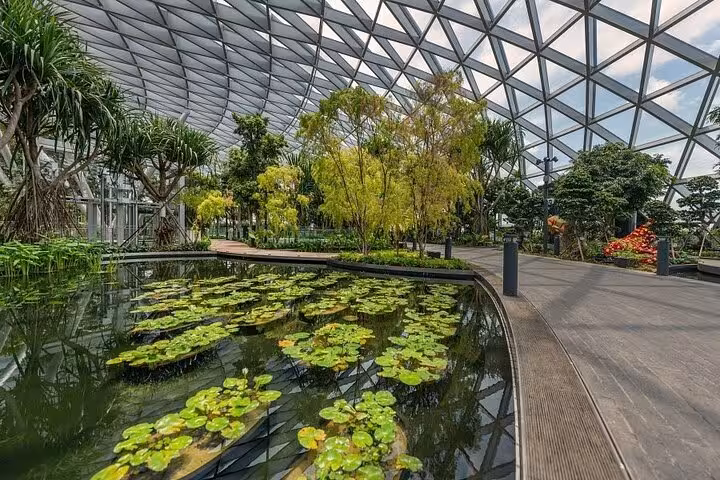 Indoor lily pond and garden walkway at Jewel Changi Airport Canopy Park, Singapore nature attraction