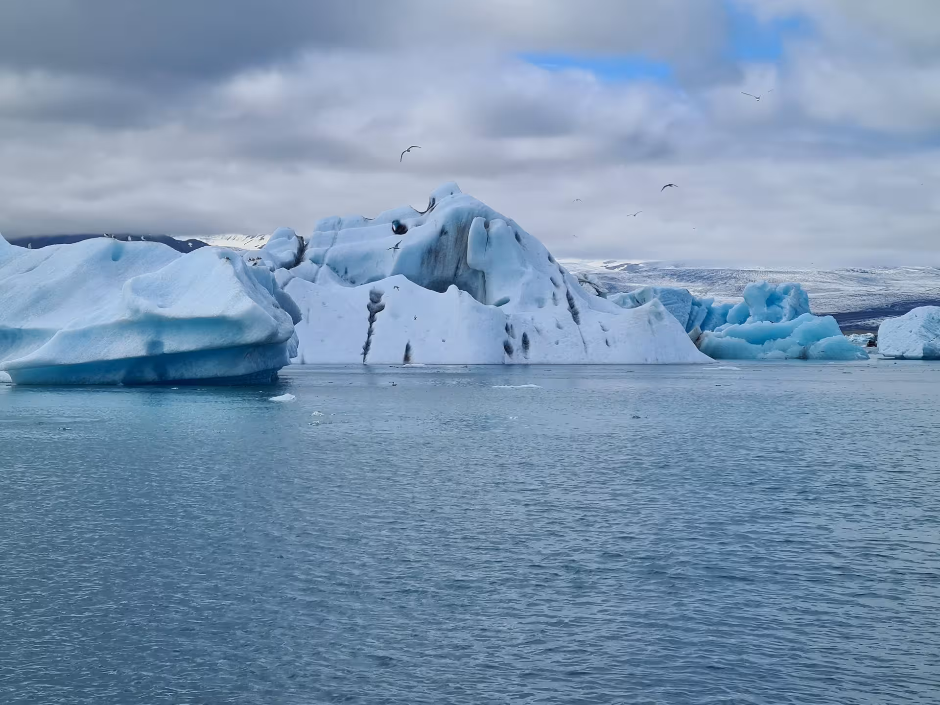 Blue icebergs floating on Jokulsarlon glacial lagoon with seabirds flying overhead, Iceland