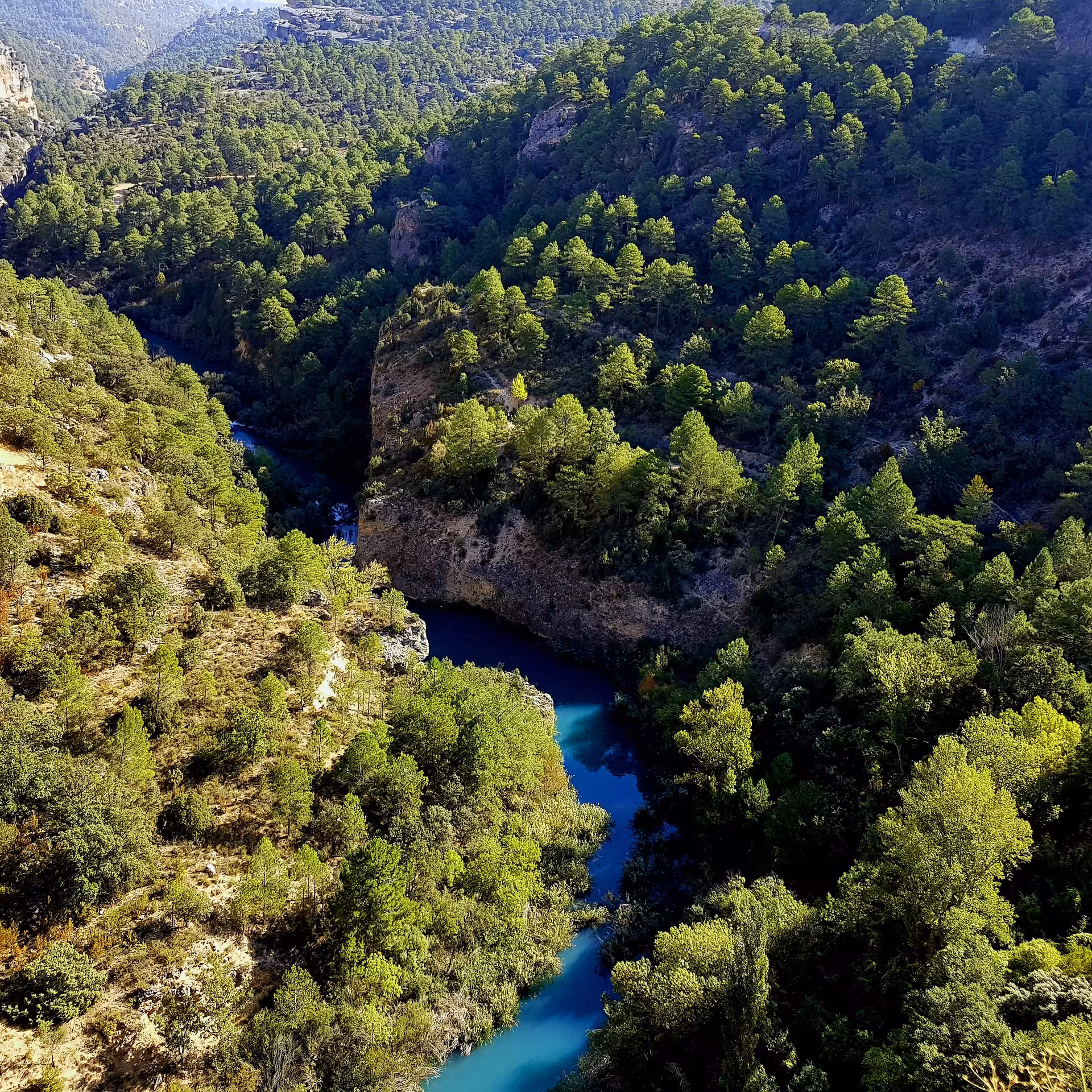 Scenic Júcar River gorge near Cuenca, pine forests and turquoise water on Enchanted City day tour from Madrid