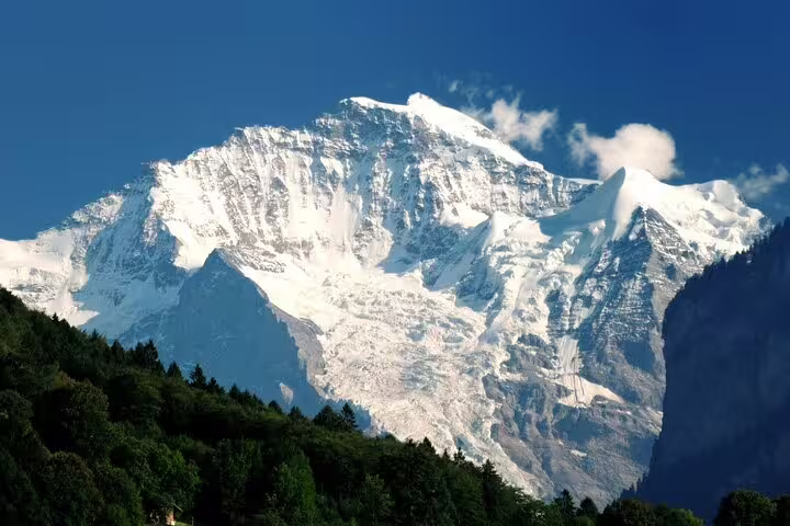 Snow-capped Jungfrau mountain peak with green forest foreground under blue sky, Swiss Alps