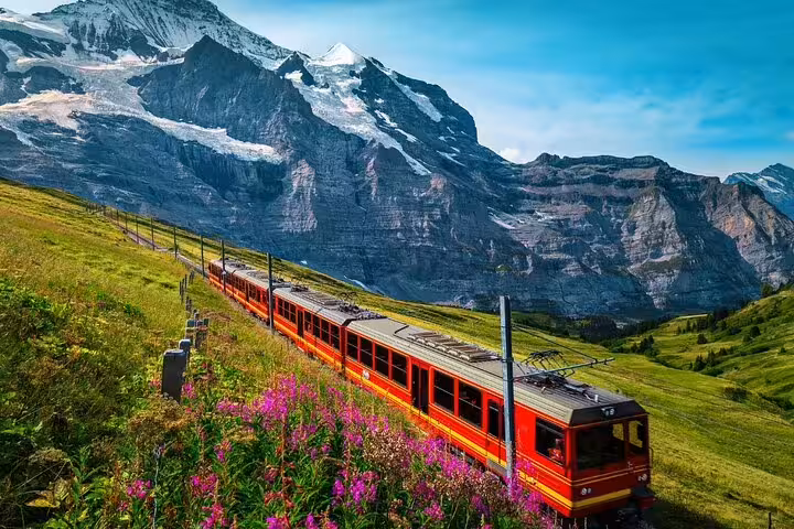 Scenic train journey through the Swiss Alps with vibrant wildflowers and majestic mountains on Jungfraujoch tour.