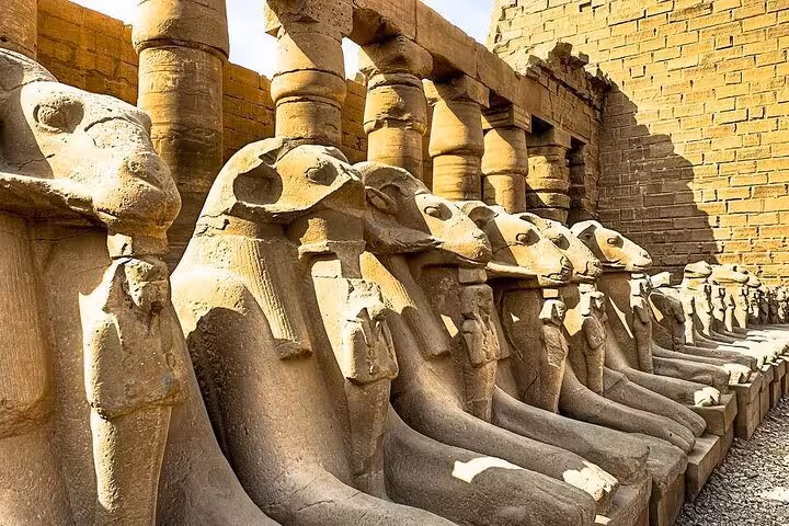 Close-up of Karnak ram-headed sphinx statues on VIP private 4 days Nile cruise from Aswan, Luxor excursion