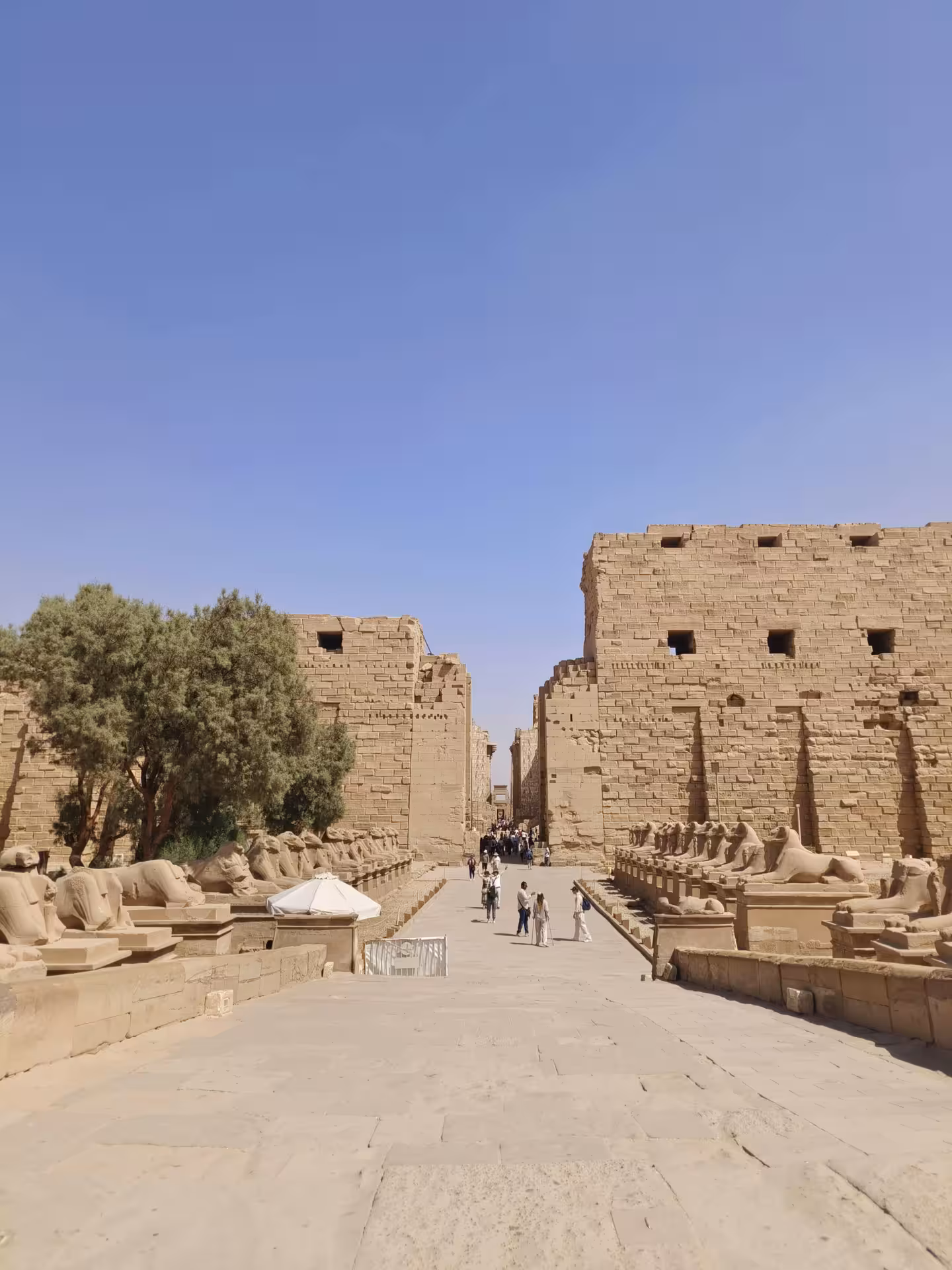 Avenue of ram-headed sphinxes leading to Karnak Temple main pylon, Luxor, Egypt
