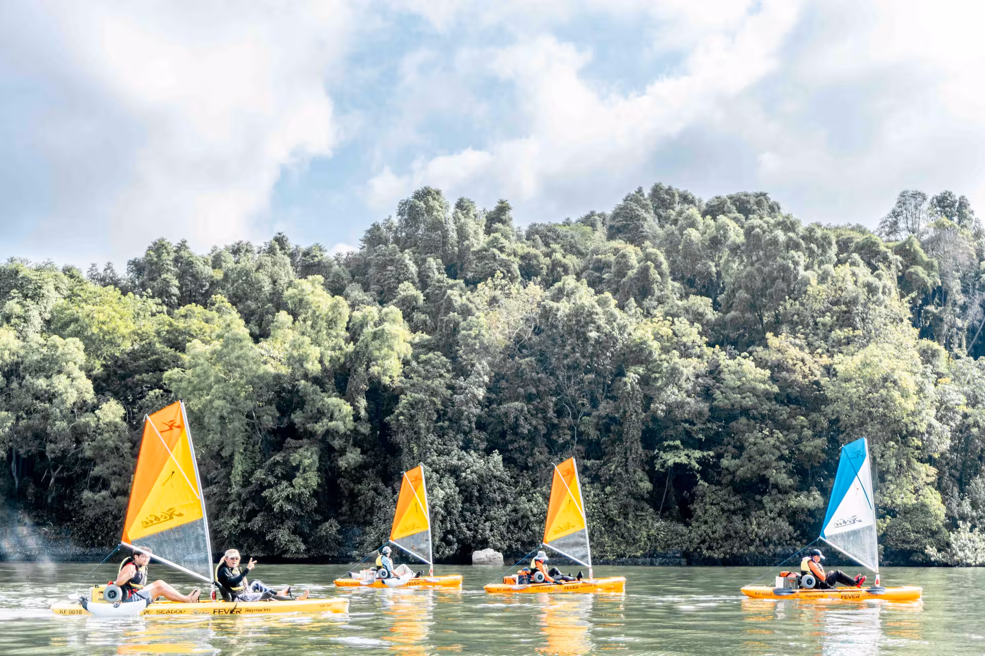 Kayakers sailing in vibrant kayaks against a backdrop of dense forest and clear blue skies.