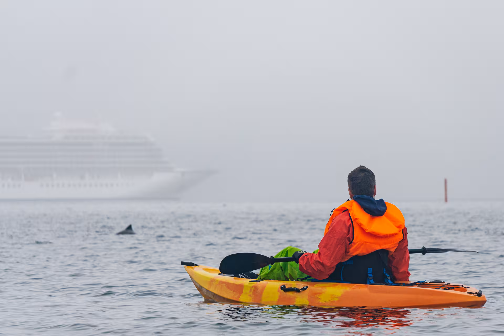 Kayaker in Berufjörður navigating foggy East Fjords with distant cruise ship, Iceland adventure tour.