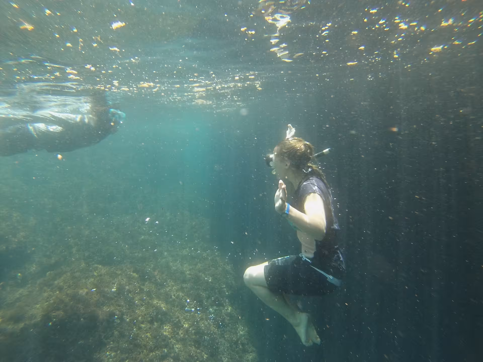 Pause snorkeling sur le tour en kayak autour de la Presqu’île de Giens, exploration des fonds rocheux