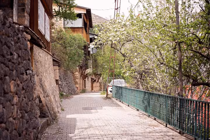 Quiet cobblestone lane in historic Kemaliye with stone houses and flowering trees on private guided tour