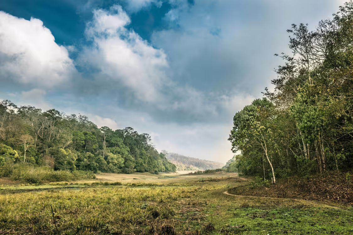 Scenic view of lush green forests and open meadows under a blue sky in Kerala, South India, perfect for nature tours.
