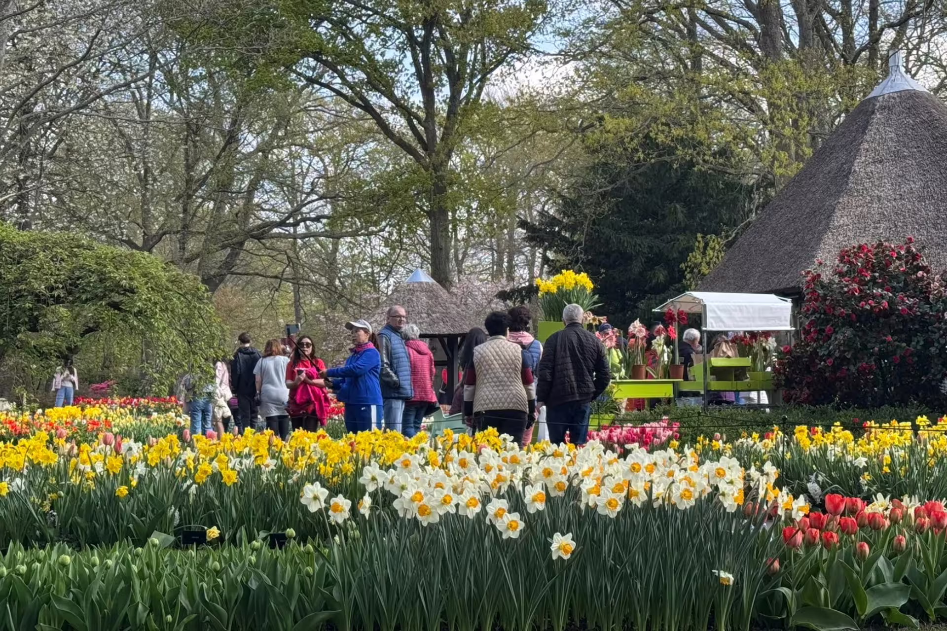 Keukenhof Gardens spring flower beds with daffodils and tulips, visitors strolling on Amsterdam day tour