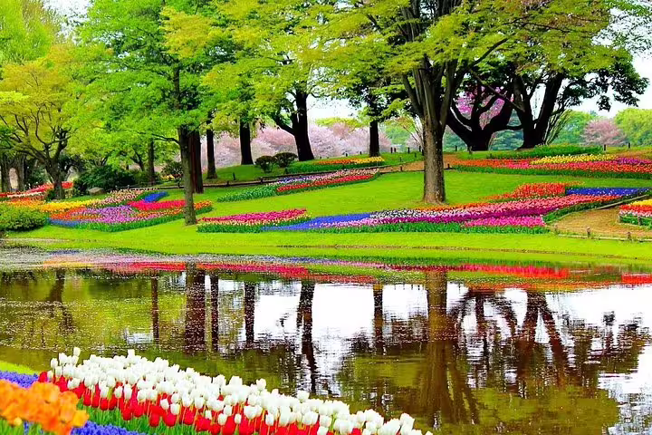 Keukenhof tulip fields by a reflective pond, vibrant spring flower beds on a private half-day tour from Amsterdam