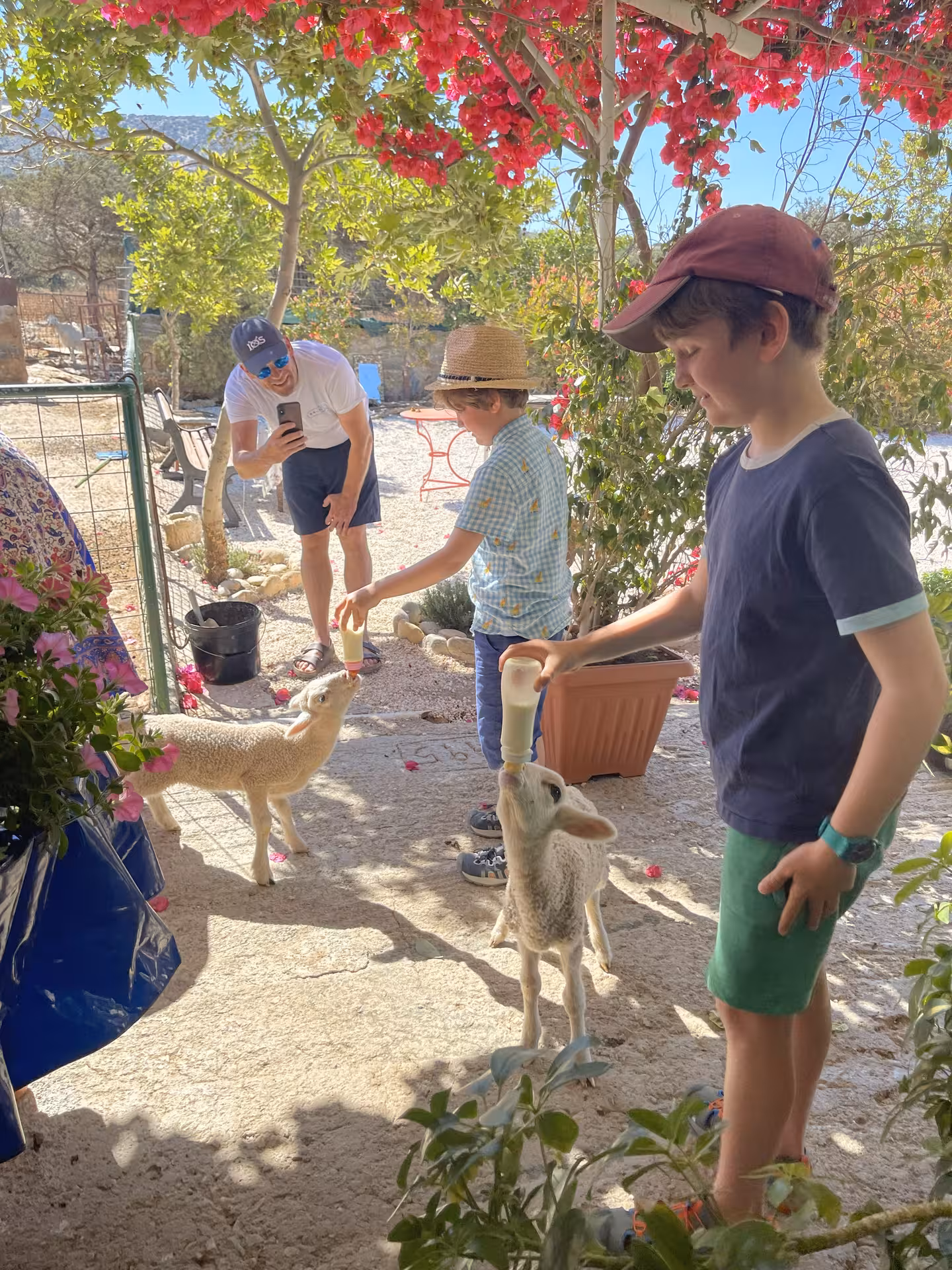 Kids bottle-feeding baby lambs at a family farm visit, hands-on animal encounter in sunny garden