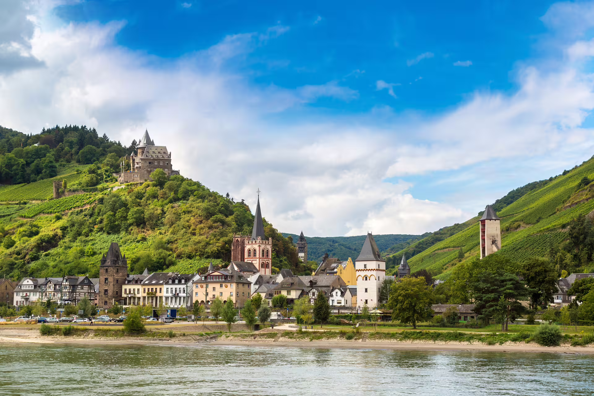 Rhine Valley day trip from Koblenz with riverside village, vineyards and hilltop castle on walking tour