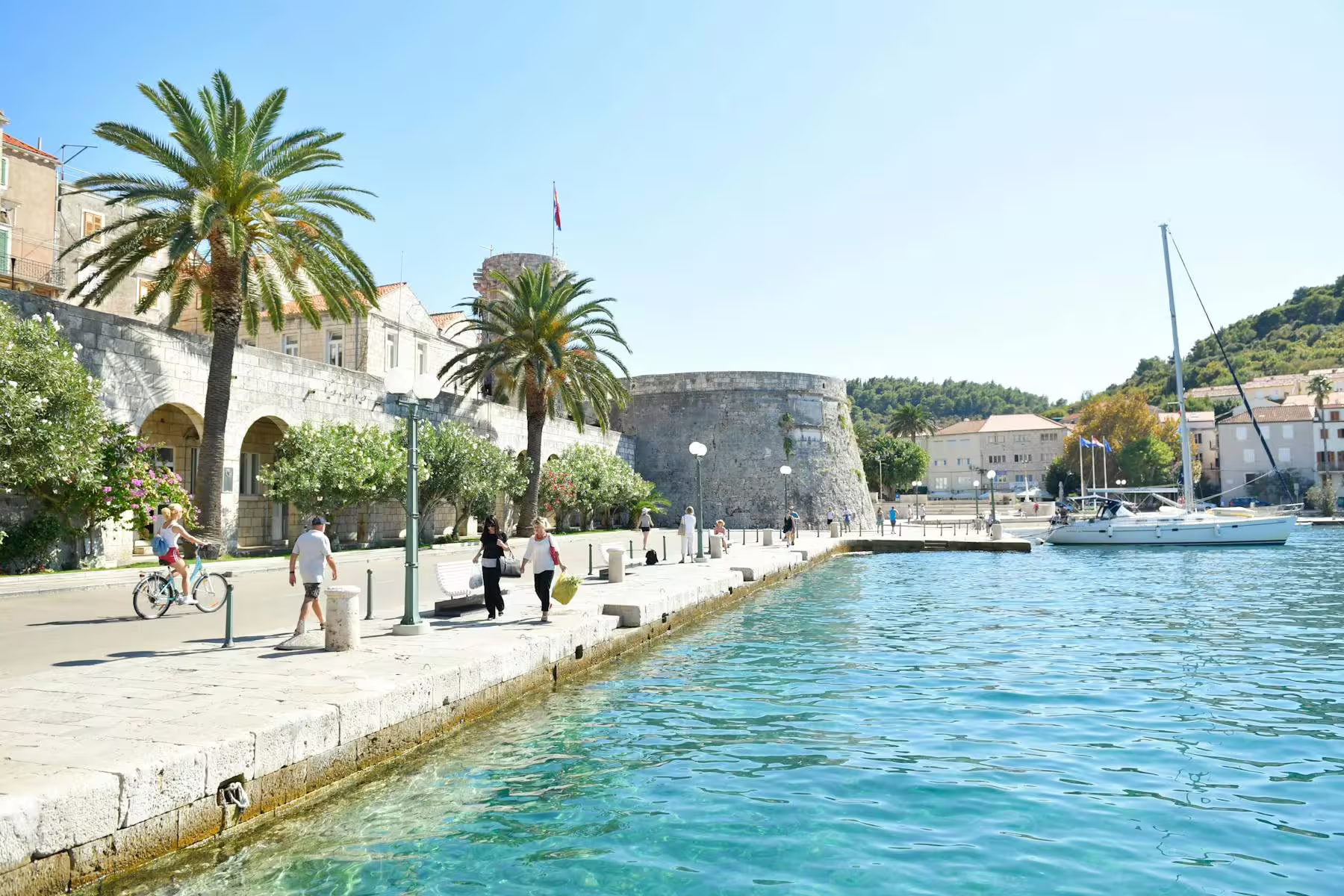 Korcula Old Town waterfront with palms, stone fort and yachts, on Legends of Peljesac & Korcula tour
