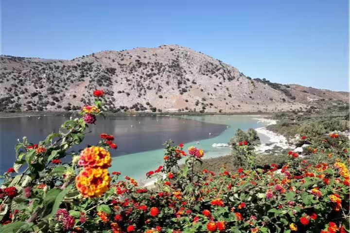 Colorful flowers in the foreground frame the serene Kournas Lake with its clear waters and mountainous backdrop in West Crete.