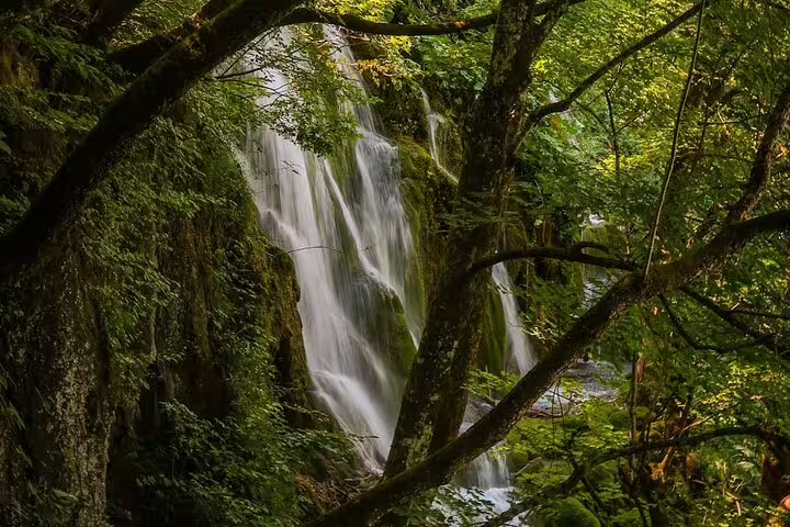 Waterfall cascading through lush forest at Plitvice Lakes National Park, guided group tour from Split