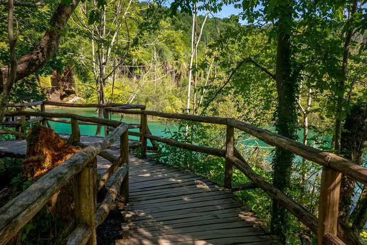 Wooden boardwalk through forest by turquoise lakes on guided Plitvice Lakes day trip from Split