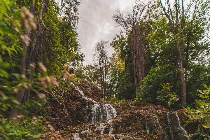 Small cascade at Krka Waterfalls surrounded by lush forest, part of the scheduled Krka food and wine tasting tour