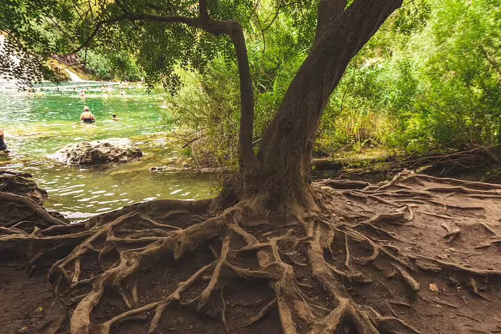 Riverside trail with exposed tree roots beside emerald pools at Krka Waterfalls on guided tour