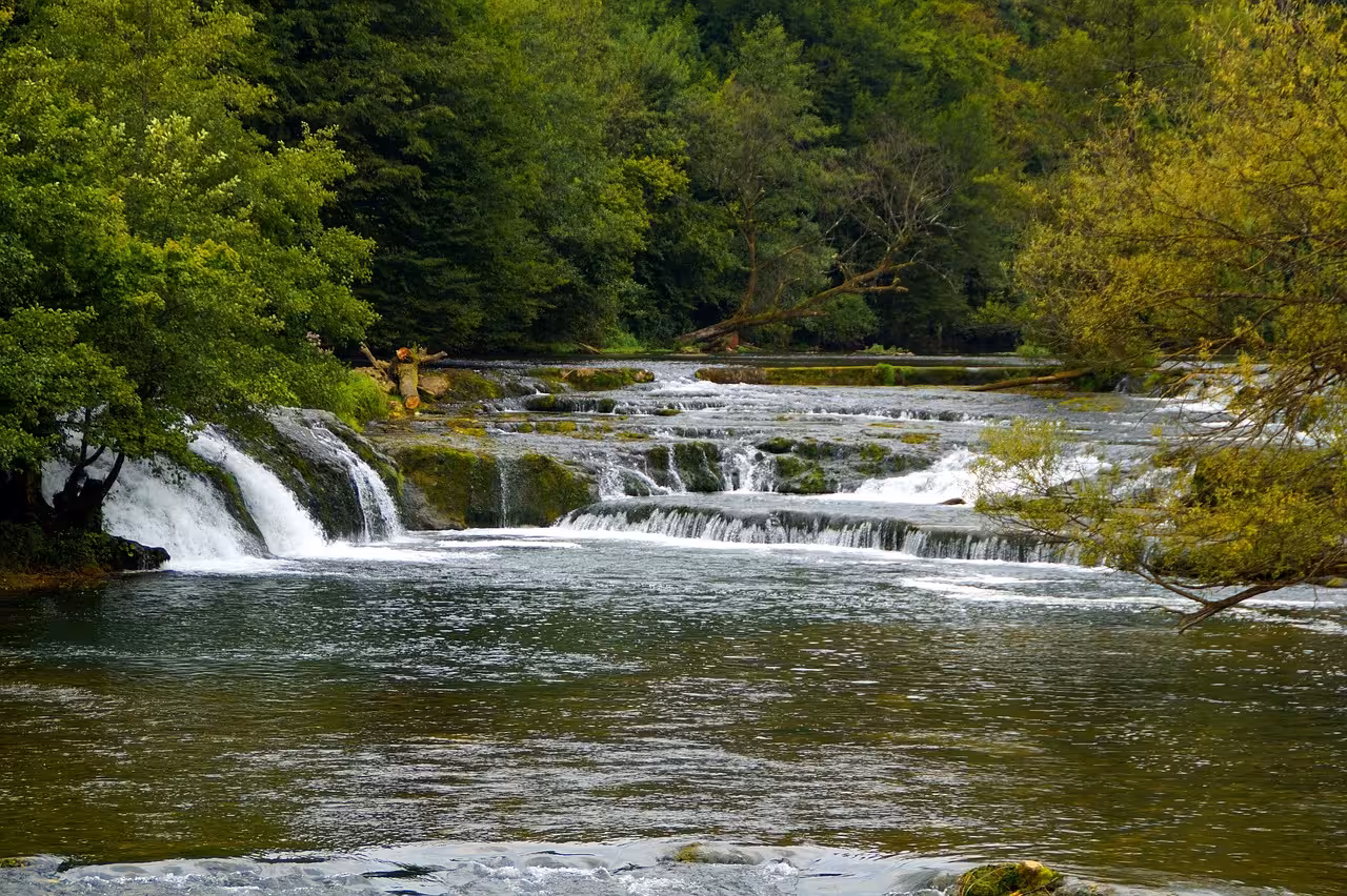 Cascading rapids and forested river at Krka National Park, Croatia, on a Krka Waterfalls excursion from Zadar