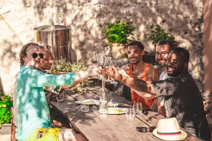 Friends toasting local Croatian wine at a rustic vineyard stop on a private Krka Waterfalls tour from Split