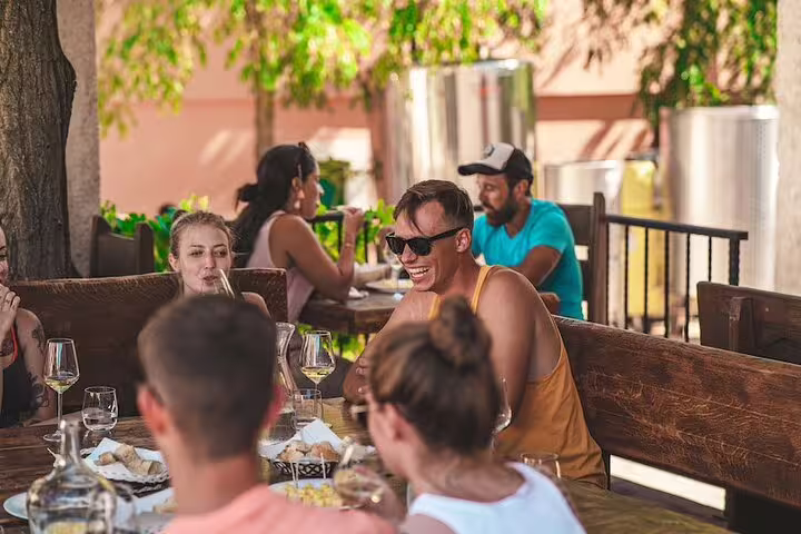 Guests enjoying outdoor lunch and wine tasting after Krka Waterfalls tour, Dalmatian food experience