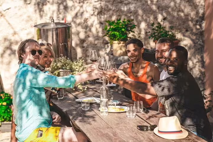 Friends clinking wine glasses at rustic Dalmatian winery on scheduled Krka Waterfalls food and wine tour
