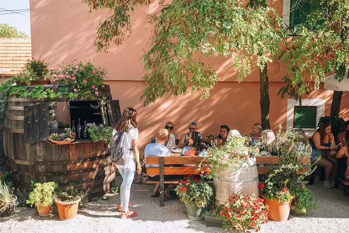 Group relaxing at a rustic Dalmatian winery courtyard, ideal add-on wine tasting after Krka Waterfalls tour