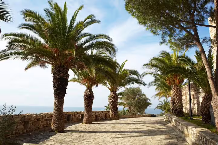 Stone promenade lined with tall palm trees overlooking the sea in Kusadasi, Turkey