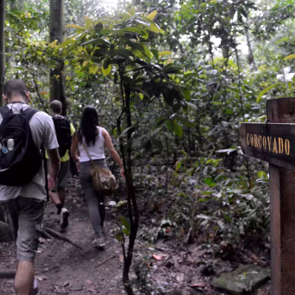 Hikers exploring lush forest trail towards Corcovado in Lage Park, ideal for Christ the Redeemer private tour.
