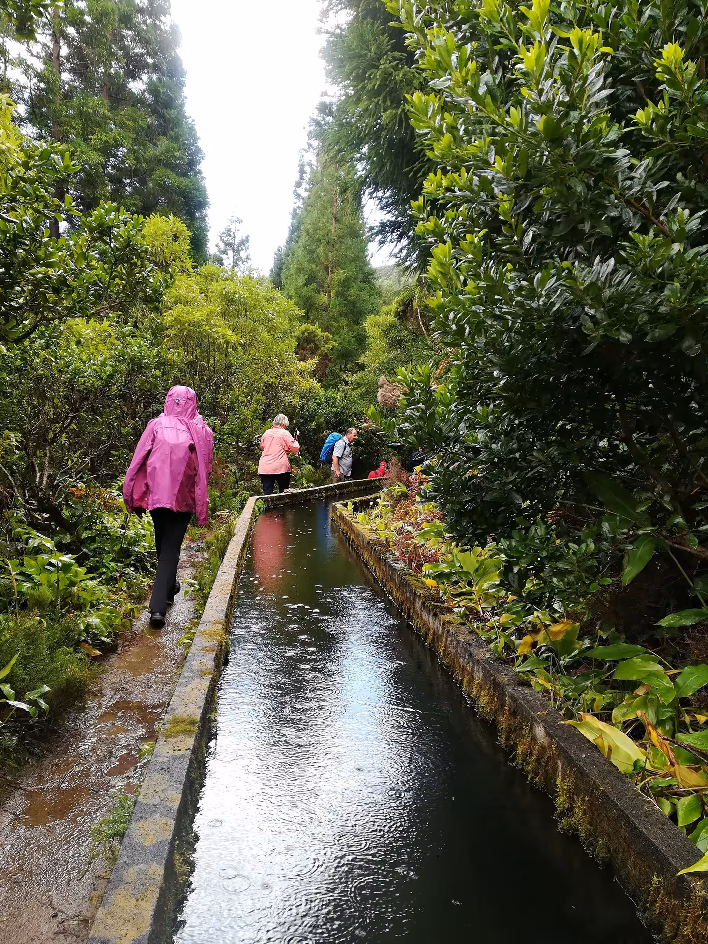 Hikers in rain jackets walk beside a lush levada on the Lagoa do Fogo full-day walking tour, São Miguel