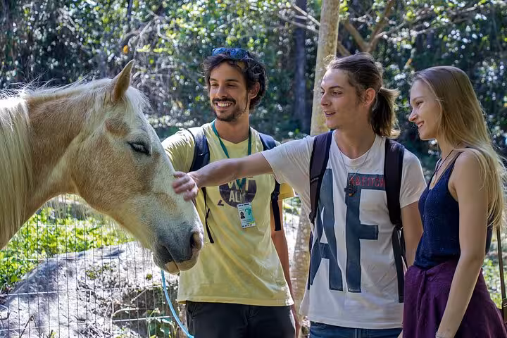 Tourists petting a friendly horse in the lush forests of Lagoinha do Leste during a hiking adventure.