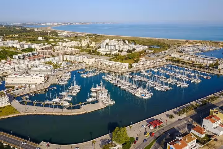 Aerial view of Lagos Marina with yachts and coastal landscape, ideal for a scenic stop on Algarve private tours.