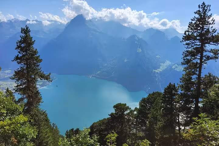 Lake Lucerne viewpoint framed by pine trees on Rophaien peak, scenic Zurich day trip in the Swiss Alps