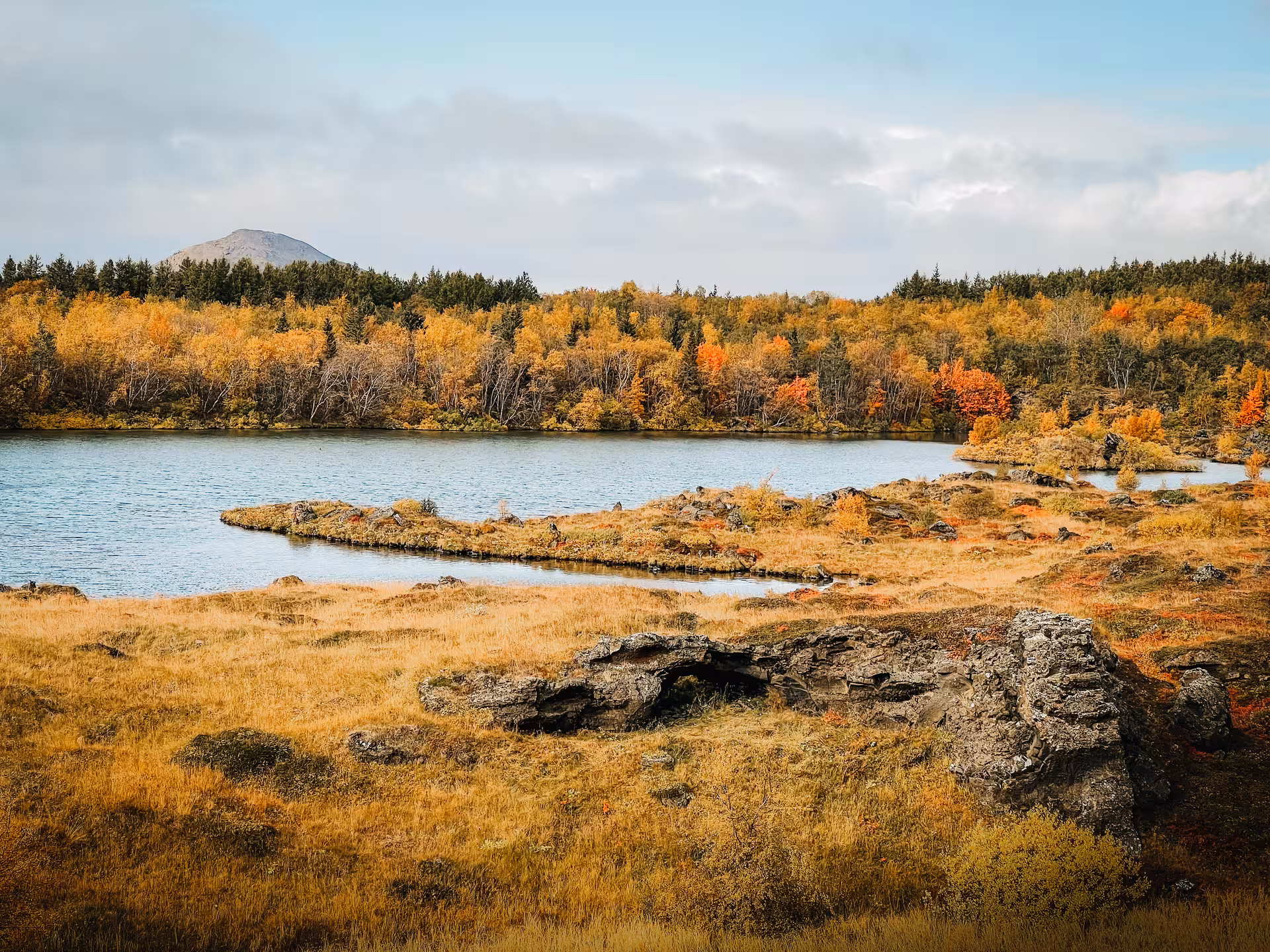 Autumn view over Lake Mývatn shoreline and lava fields on Akureyri port shore excursion in North Iceland