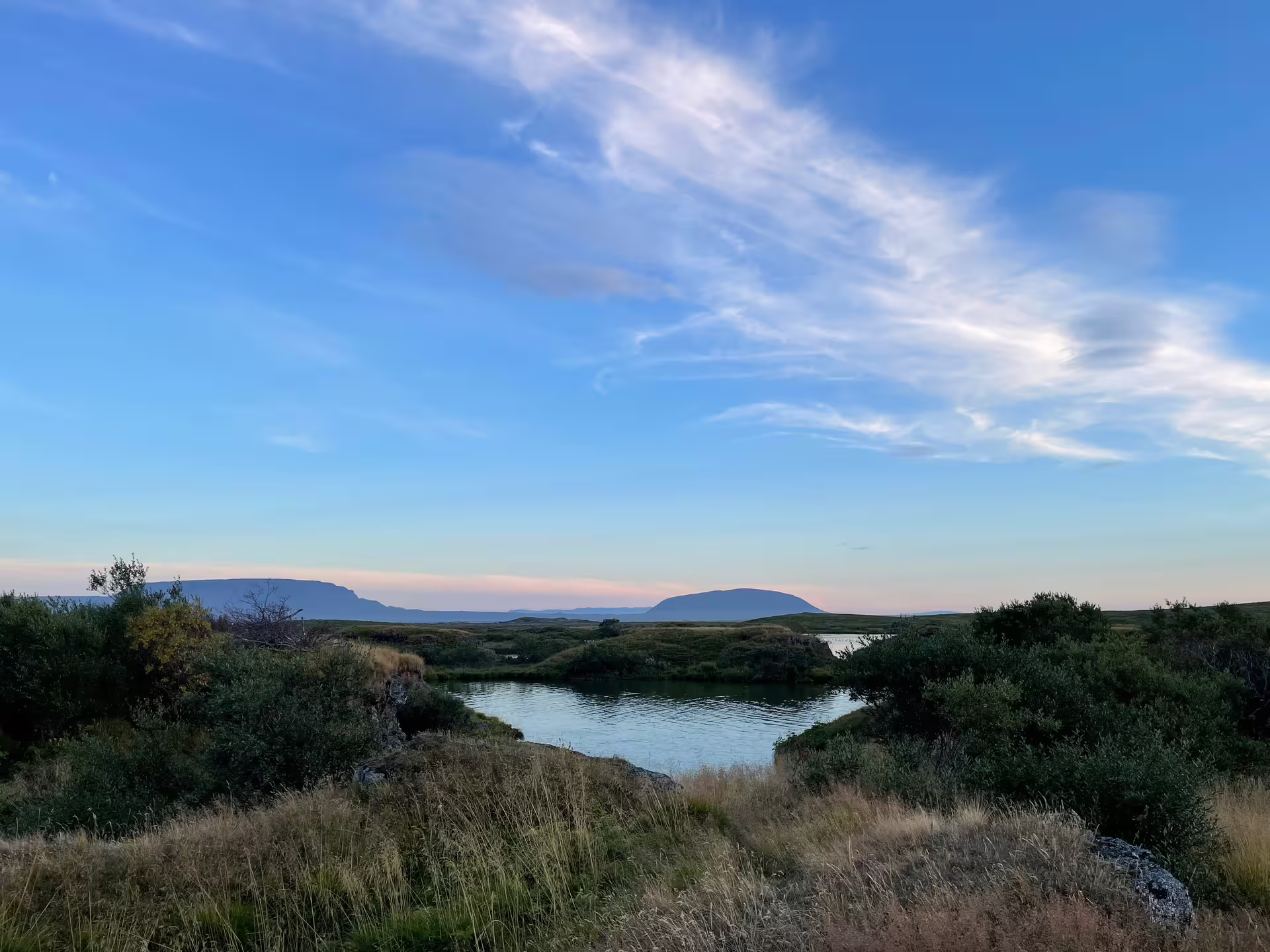 Calm lake surrounded by green shrubs and grasslands with flat-topped mountains at dusk in Iceland