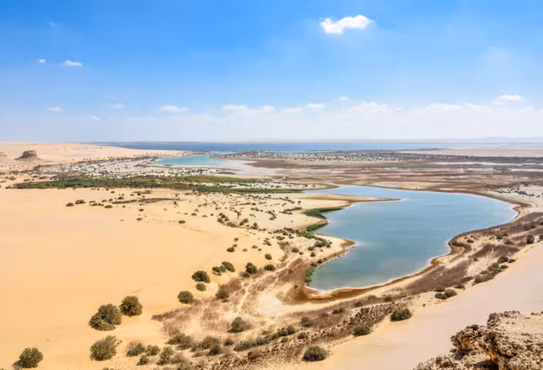 Panoramic view of Lake Qarun and desert dunes in Fayoum Oasis, scenic stop on 2-day Cairo tour