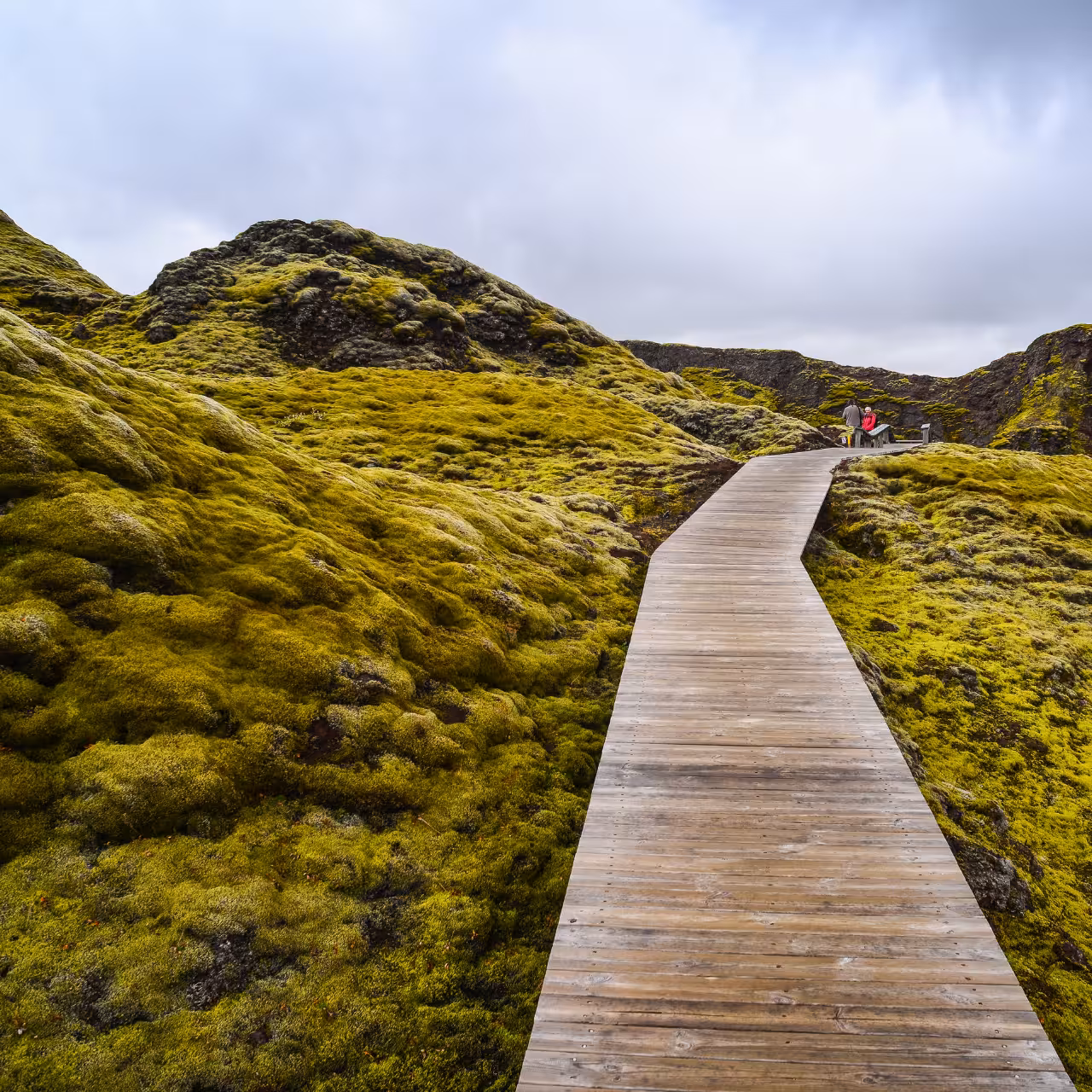 Wooden boardwalk winding through vibrant green moss-covered Laki Craters landscape on a private super jeep tour from Vik Iceland