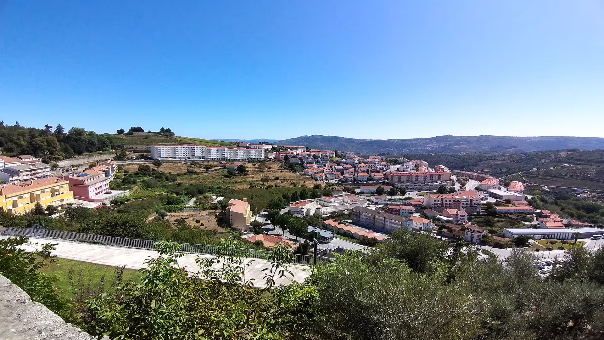 Panoramic view of Lamego with colorful buildings and lush vineyards, showcasing the beauty of Portugal's Dão wine region.