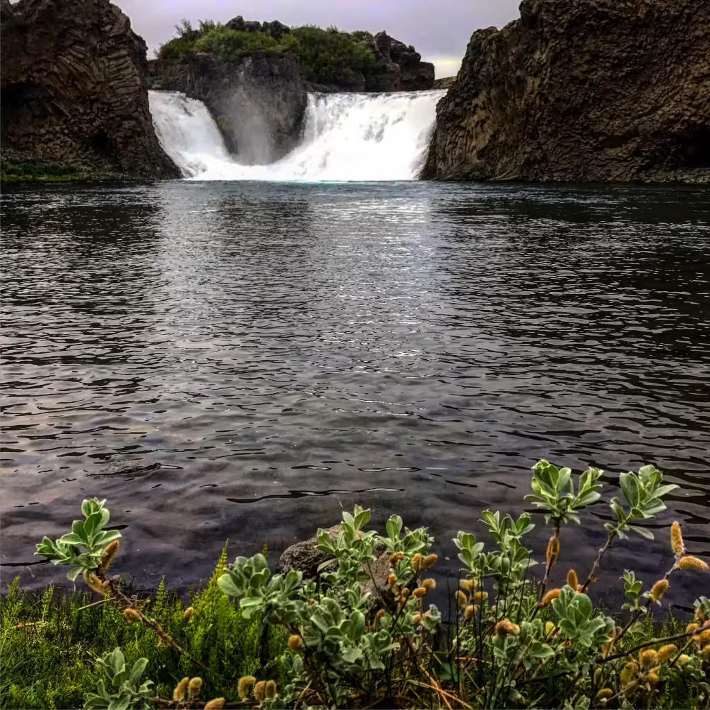 Waterfall cascading between volcanic rock cliffs into dark pool with green shrubs in Landmannalaugar Iceland