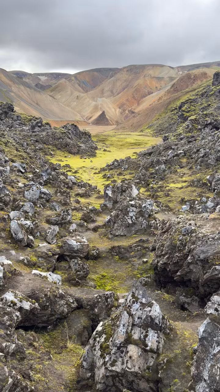 Lava rock field with vibrant green moss leading to colorful rhyolite mountains at Landmannalaugar, Iceland