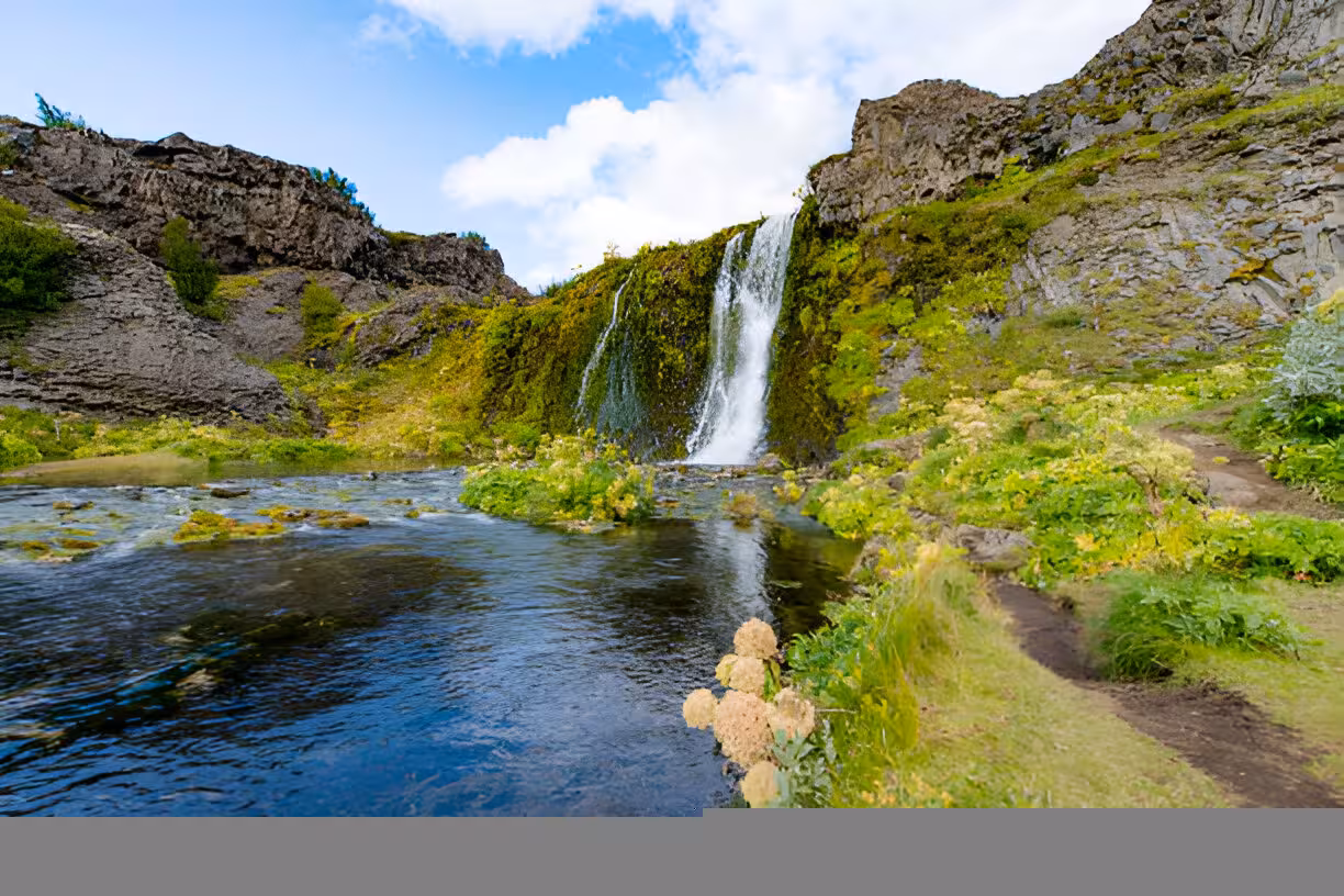 Lush green waterfall cascading into a crystal clear river surrounded by mossy volcanic rocks in Landmannalaugar Iceland