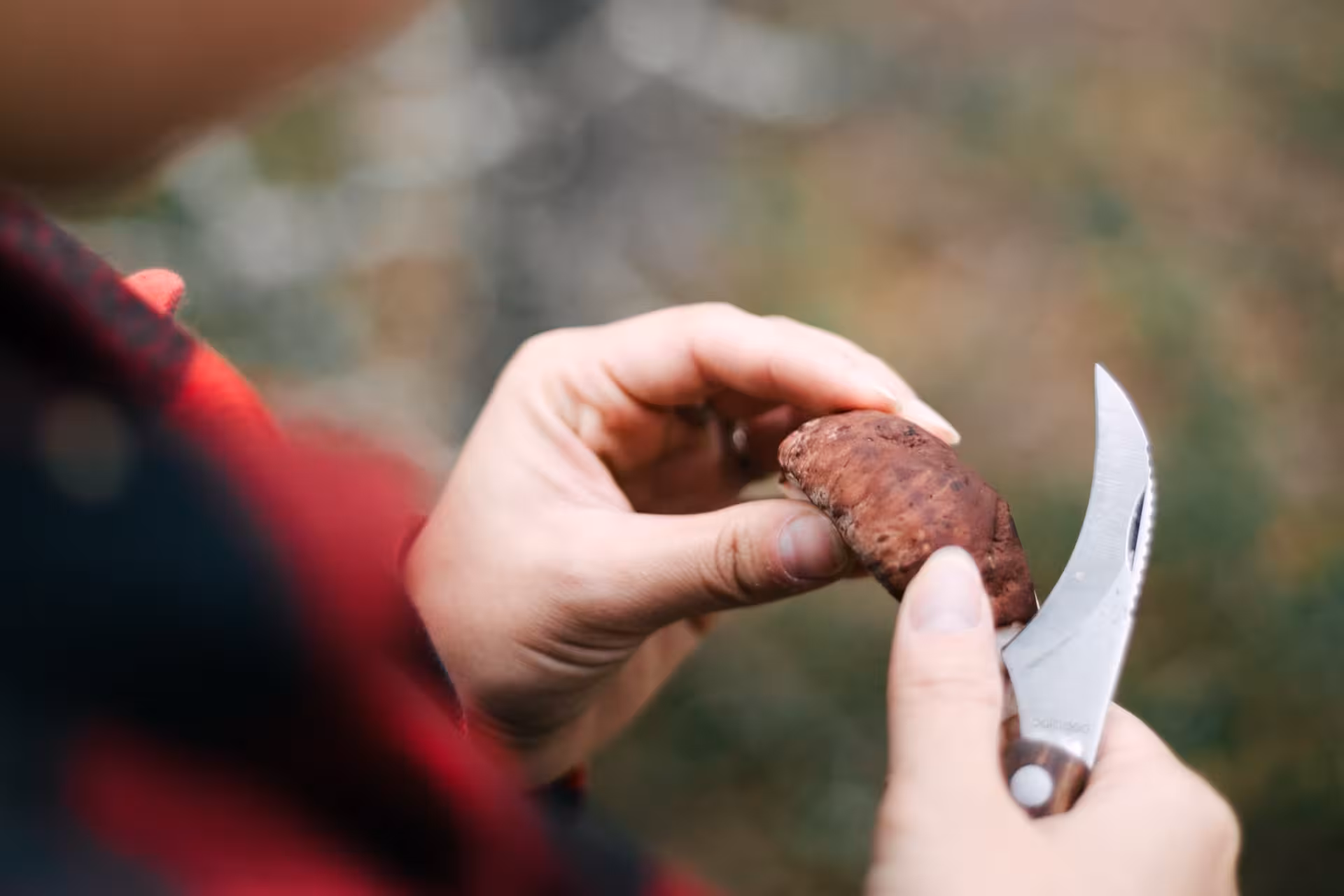 Close-up of a person holding a wild mushroom with a knife during a Lapland foraging tour.