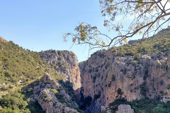 Stunning rugged cliffs and lush greenery of Las Buitreras Canyon on a guided outdoor tour in Málaga